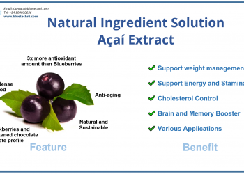 The power of Açaí extract: Amazon’s powerful antioxidant superfruit